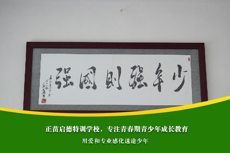 高中生网恋总逃避现实,心理健康如何科学干预? 高中生网恋总逃避现实,心理健康如何科学干预?