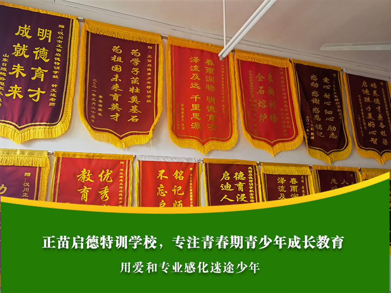 高中女孩厌学想休学，申请休学和心理疏导哪个能解决问题？​