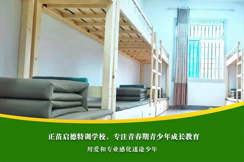 初中女孩网恋是否容易遭遇网络欺骗？