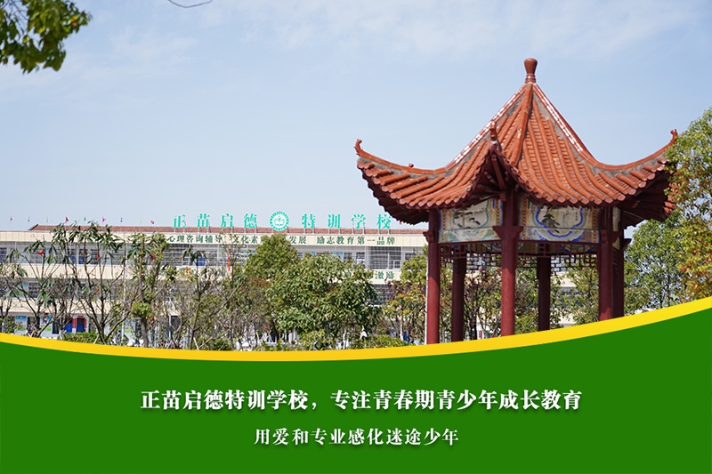 青春期女孩早恋心理困扰，父母如何科学疏导而非惩罚？